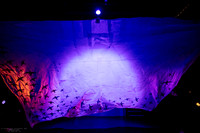 waapa 2411008 tmotlb 7-(PROOF ONLY)