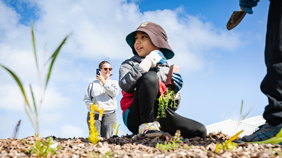 peet 250814 shorehaven tree planting 140-(WEB ONLY)