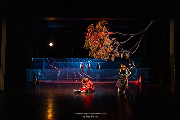 waapa 250512 rise-SILVERBACKING 6-(PROOF ONLY)