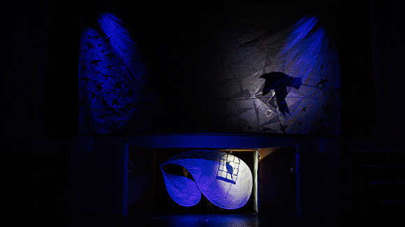 waapa 2411008 tmotlb 278-(WEB ONLY)