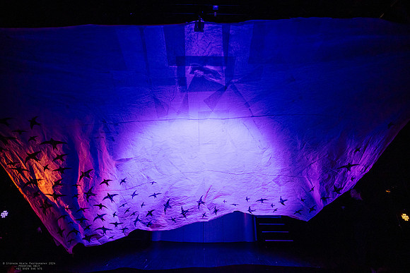 waapa 2411008 tmotlb 8-(PROOF ONLY)