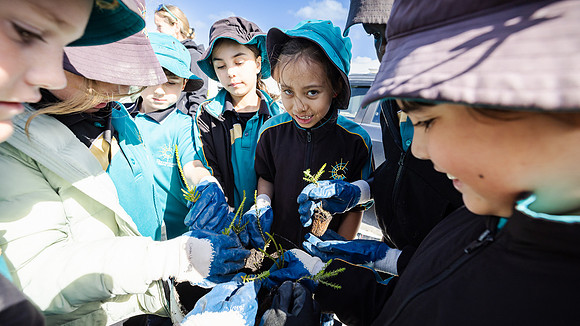 peet 250814 shorehaven tree planting 160-(WEB ONLY)