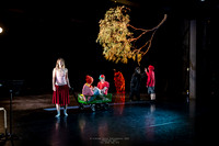 waapa 250512 rise-SILVERBACKING 17-(PROOF ONLY)