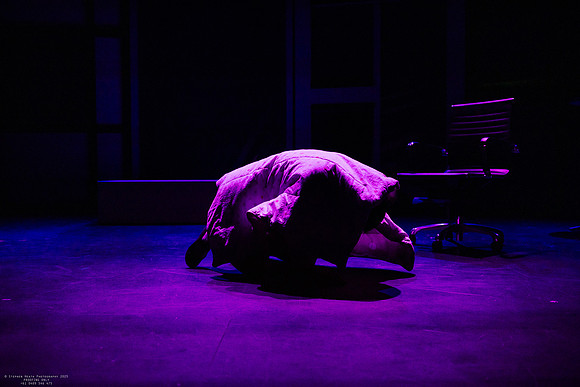 waapa 250903 hibernation 37-(PROOF ONLY)