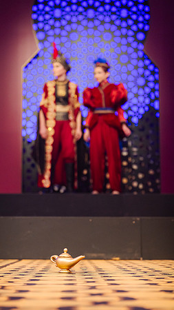 pc 250917 aladdin jr 1332-(PRINT ONLY)