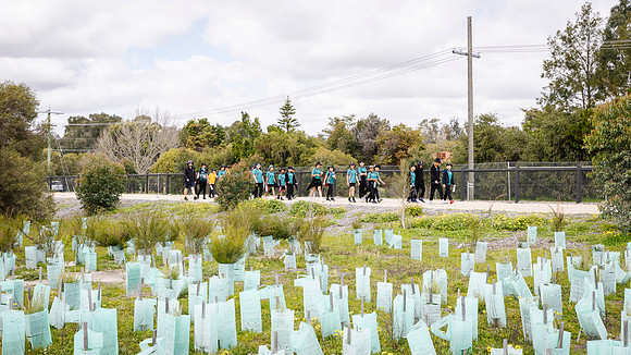 peet 250919 brabham tree planting 28-(PRINT ONLY)