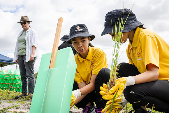 peet 250919 brabham tree planting 109-(PRINT ONLY)