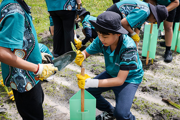 peet 250919 brabham tree planting 110-(PRINT ONLY)