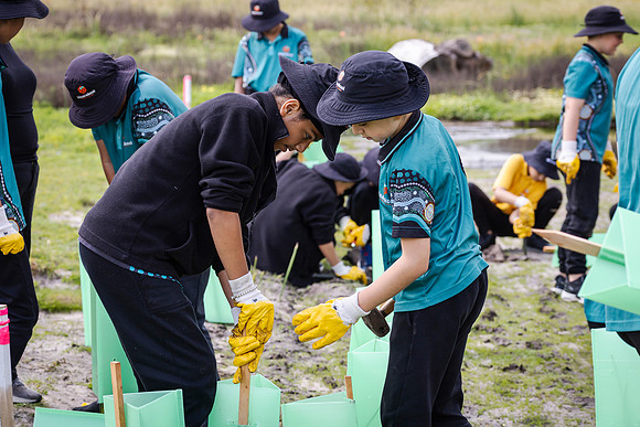 peet 250919 brabham tree planting 134-(PRINT ONLY)
