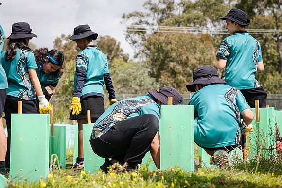 peet 250919 brabham tree planting 145-(WEB ONLY)