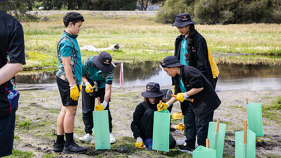 peet 250919 brabham tree planting 141-(PRINT ONLY)