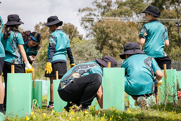 peet 250919 brabham tree planting 145-(PRINT ONLY)