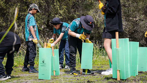 peet 250919 brabham tree planting 143-(PRINT ONLY)