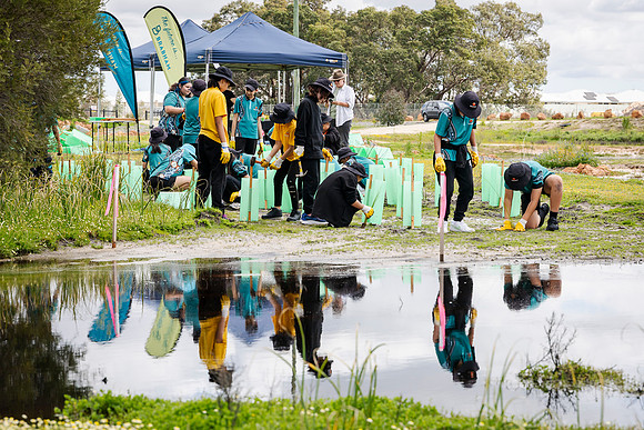 peet 250919 brabham tree planting 152-(PRINT ONLY)