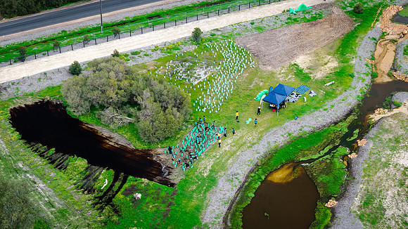 peet 250919 brabham tree planting 163-Pano-(WEB ONLY)
