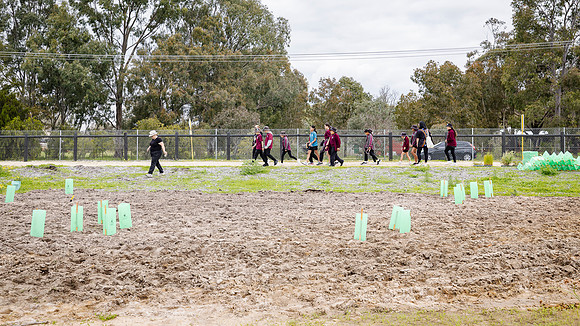 peet 250919 brabham tree planting 177-(PRINT ONLY)
