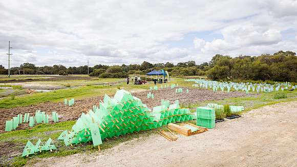peet 250919 brabham tree planting 207-(WEB ONLY)
