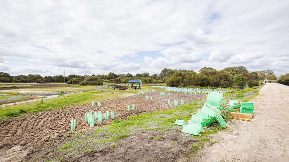peet 250919 brabham tree planting 211-(WEB ONLY)