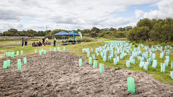 peet 250919 brabham tree planting 206-(PRINT ONLY)
