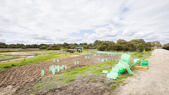 peet 250919 brabham tree planting 211-(PRINT ONLY)