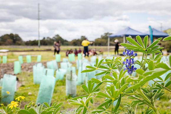 peet 250919 brabham tree planting 218-(PRINT ONLY)