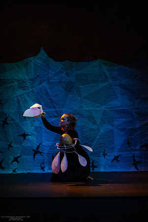 waapa 2411008 tmotlb 58-(PROOF ONLY)