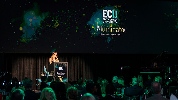 ecu 251030 aluminate 227-(PRINT ONLY)