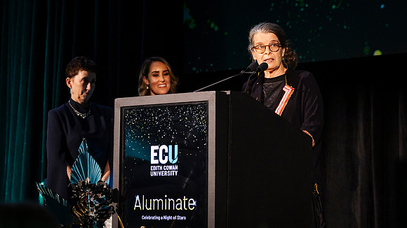 ecu 251030 aluminate 275-(PRINT ONLY)