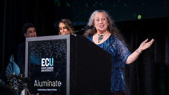 ecu 251030 aluminate 319-(PRINT ONLY)