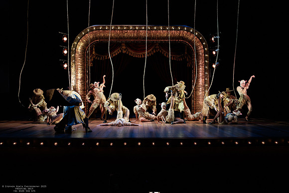 waapa 251105 tivoli lovely 636-(PROOF ONLY)