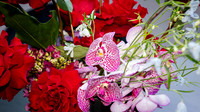 ecu 251108 tivoli lovely vip 5-(WEB ONLY)