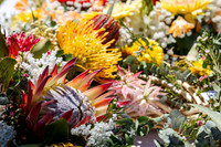 toc 251111 rememberance 15-(WEB ONLY)