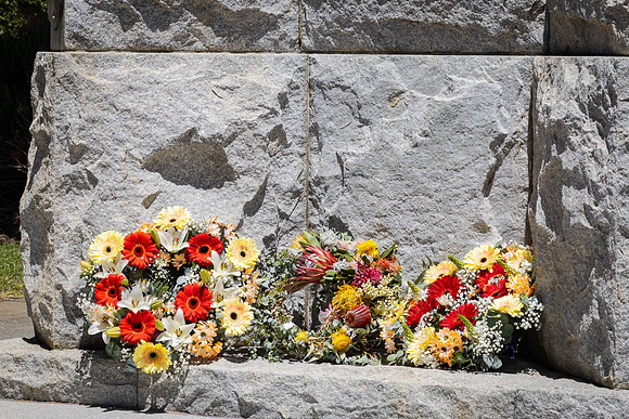 toc 251111 rememberance 86-(WEB ONLY)