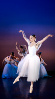 waapa 251112 verge 193-(WEB ONLY)