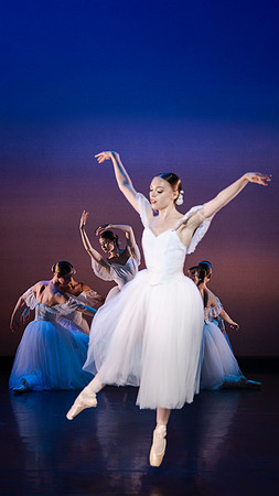 waapa 251112 verge 193-(PRINT ONLY)