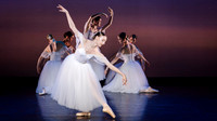 waapa 251112 verge 208-(PRINT ONLY)
