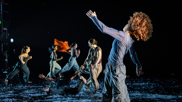 waapa 251112 verge 842-(PRINT ONLY)