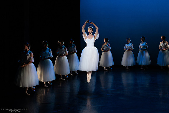waapa 251112 verge 127-(PROOF ONLY)