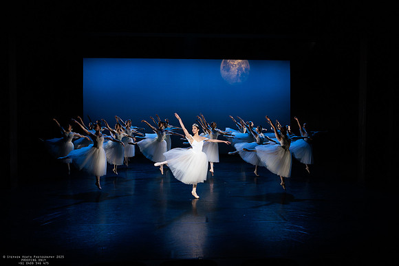 waapa 251112 verge 139-(PROOF ONLY)