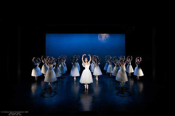 waapa 251112 verge 147-(PROOF ONLY)