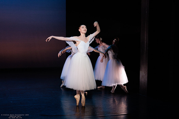 waapa 251112 verge 174-(PROOF ONLY)