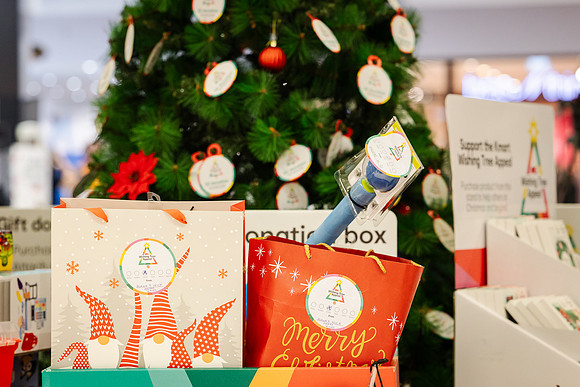 kmart 251128 wishing tree 12-(WEB ONLY)