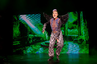 zp 251211 wizard of oz 424-(PRINT ONLY)