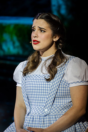 zp 251211 wizard of oz 519-(PRINT ONLY)