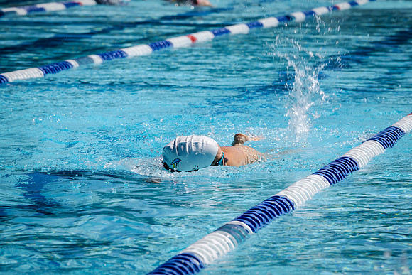 toc 251210 bold park aquatics 89-(PRINT ONLY)