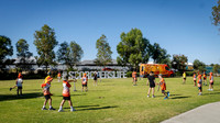 peet 260114 brabham scorchers 3-(PRINT ONLY)