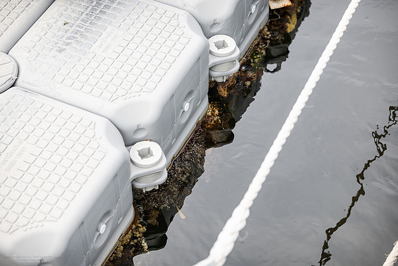 rbo 240808 float dock 104-(PROOF ONLY)