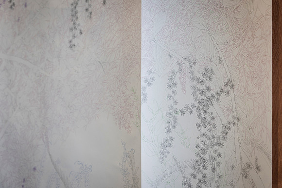 ecu 260605 vis arts 34-(PRINT ONLY)