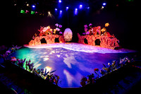 tmytc 260609 life of insects 5-(WEB ONLY)