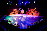mytc 260609 life of insects FINAL
